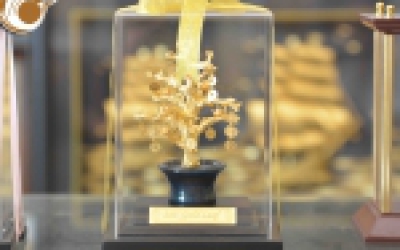 Cách đặt cây tiền tài lộc mang lại tiền tài cho gia chủ
