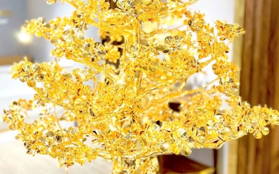 Chiêm ngưỡng Cây mai Đại Phúc mạ vàng 24k cao 300 cm