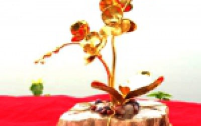 Chậu Lan Hồ Điệp dát vàng 24k làm quà tặng cao cấp