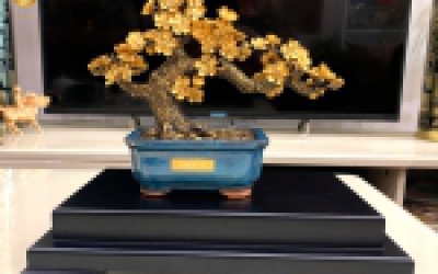Mô hình cây hoa mai ngũ phúc bonsai mai vàng đẹp tinh xảo