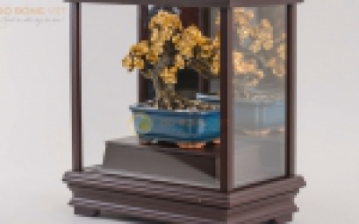 Mô hình cây hoa mai ngũ phúc bonsai mai vàng