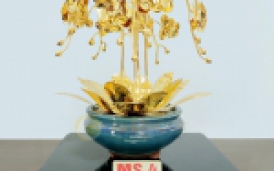 Mô hình cây Lan vàng 24k - MS04