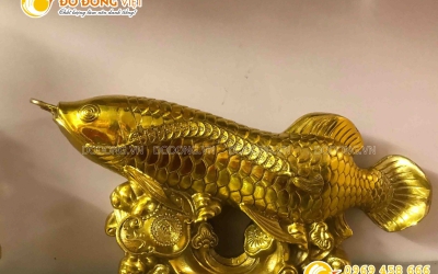 BẬT MÍ NHIỀU Ý NGHĨA CỦA CÁ RỒNG PHONG THỦY